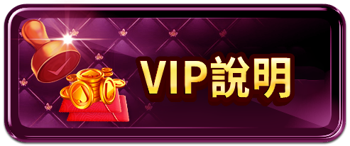 錢夫人娛樂城 VIP 說明，透過 LINE 了解專屬會員特權與互動遊戲福利。